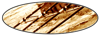 A crew rowing representing teamwork; Actual size=180 pixels wide