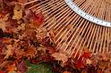 raking_leaves.jpg